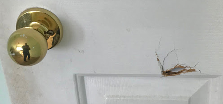 interior door hole repair Huron